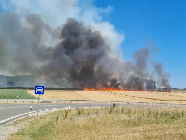 Flächen-/Waldbrand