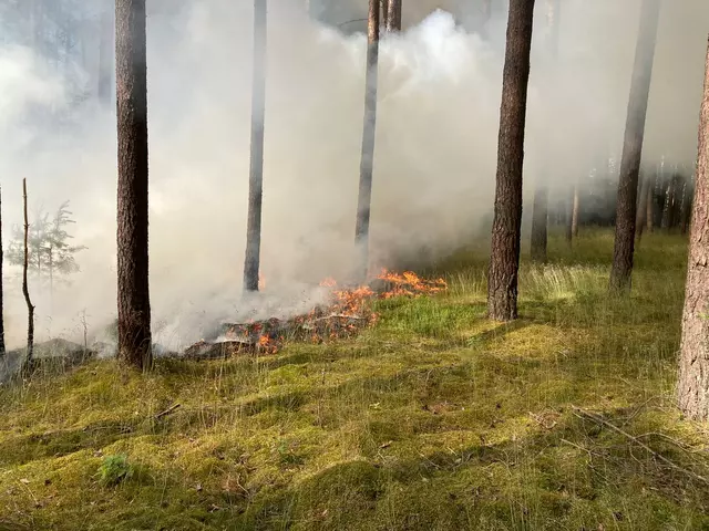 Waldbrand