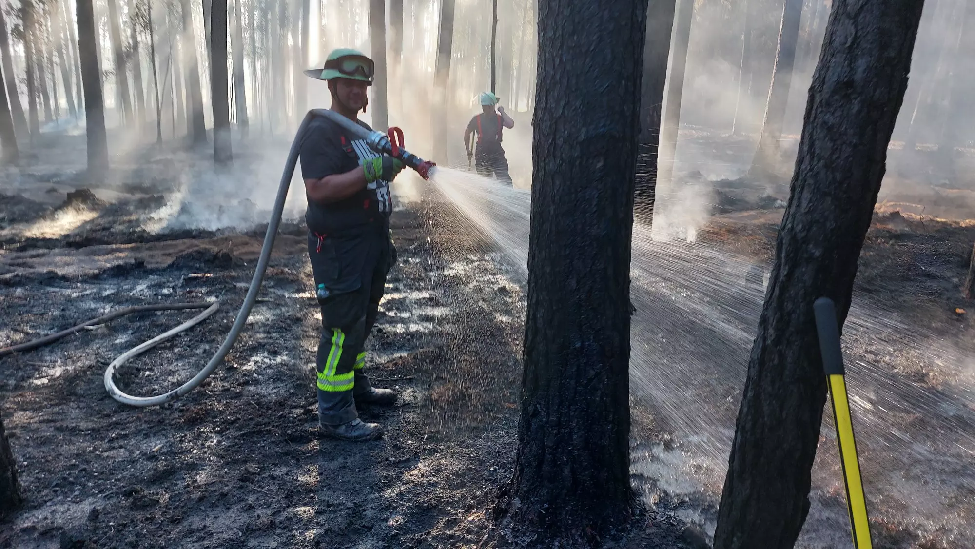 Waldbrand